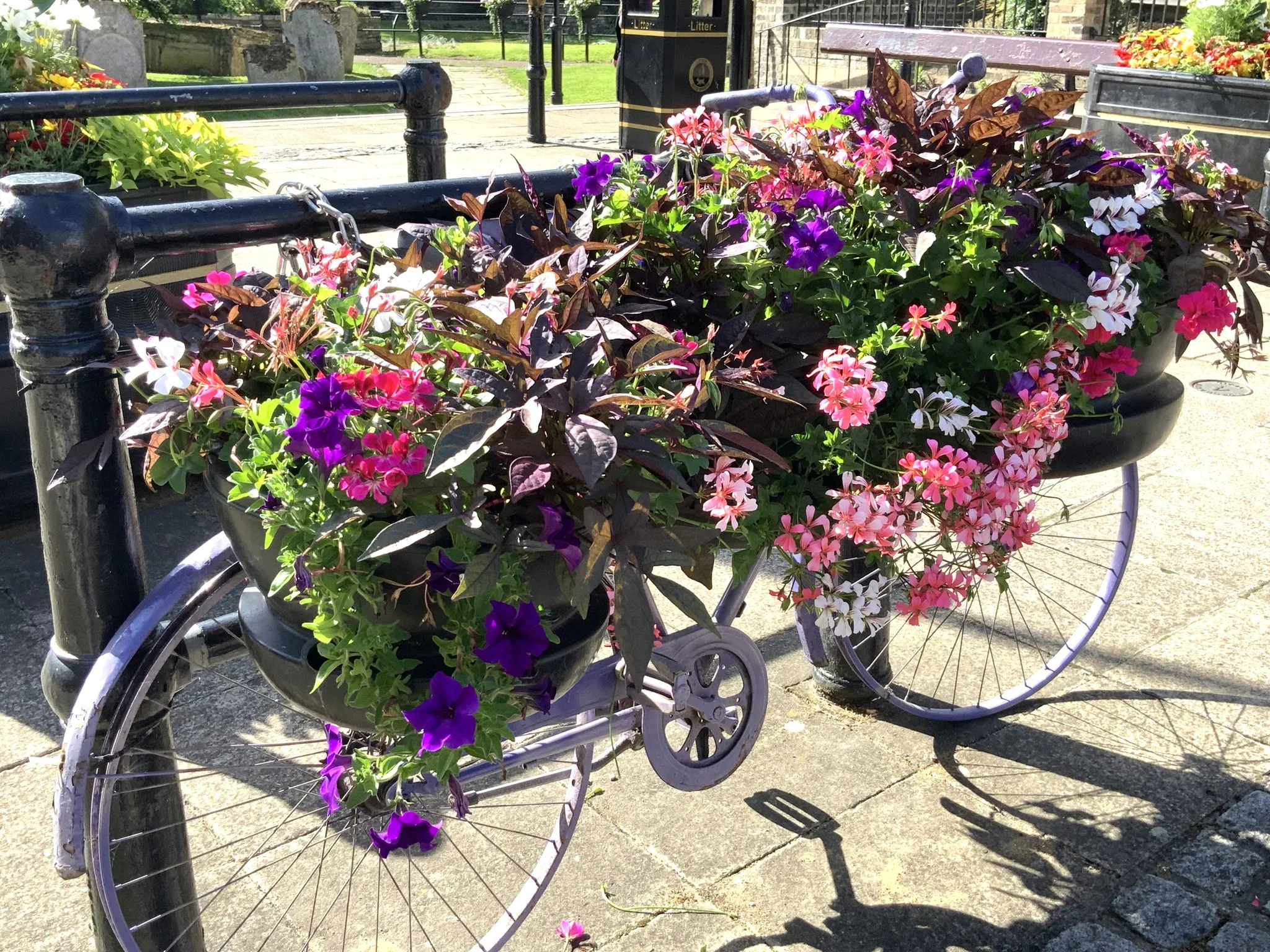The joy of summer in Wisbech: Caught on camera this week by Wisbech Tweet and showing the array of colourful displays that can be viewed and enjoyed.