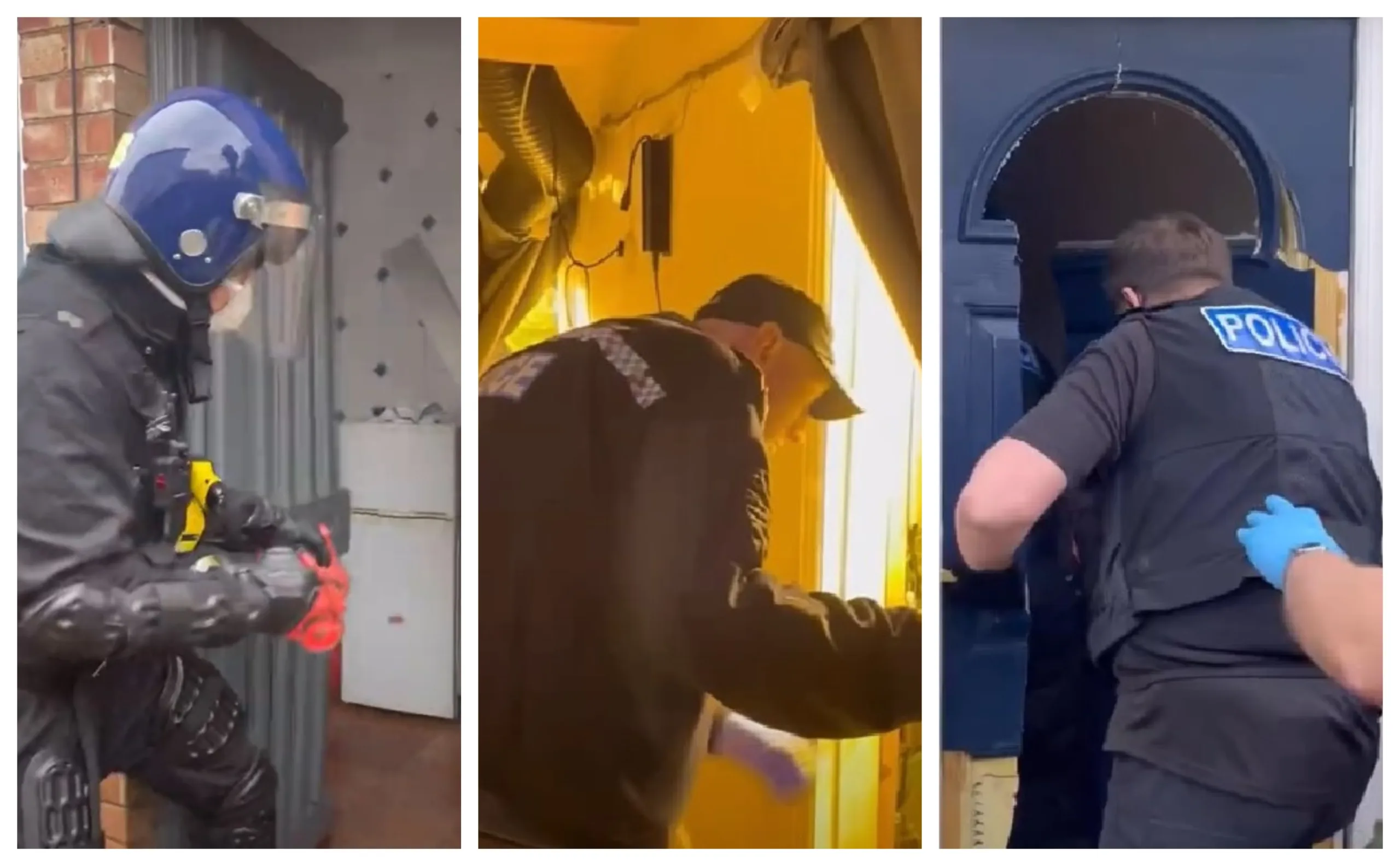 Video footage/images released by Cambridgeshire police give an indication of the scale of the operation to tackle illegal cannabis grows across the county: 19 raids in one month.